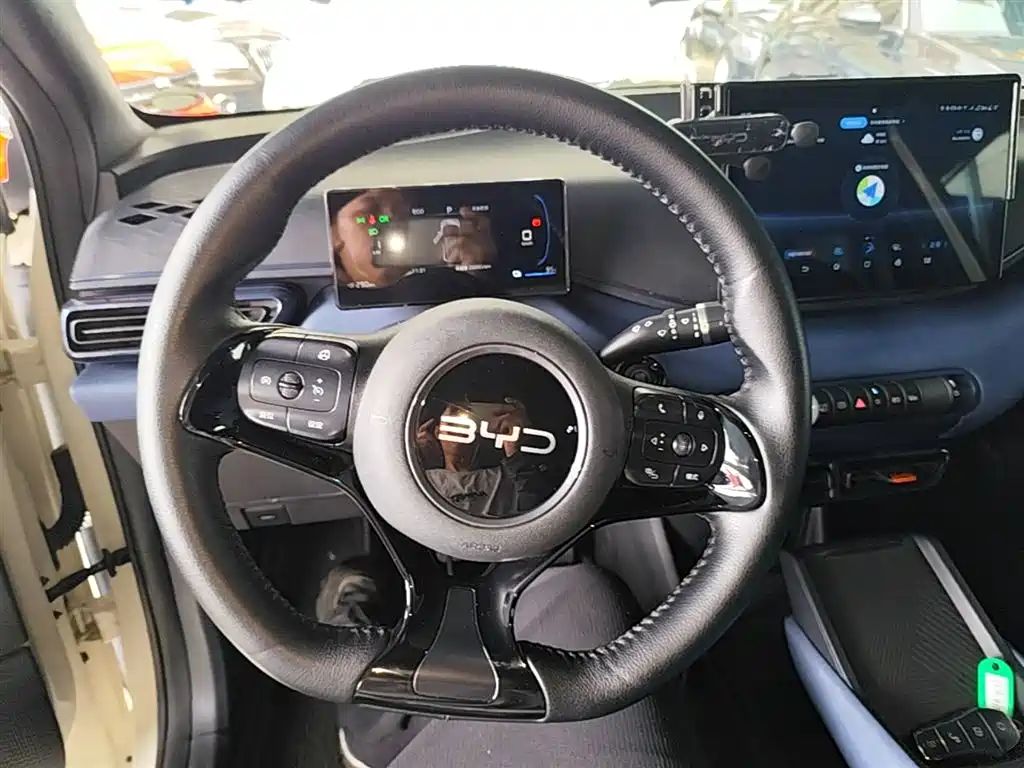 BYD Seagull 2024 Glory Edition 305km Vitality Edition фото 11