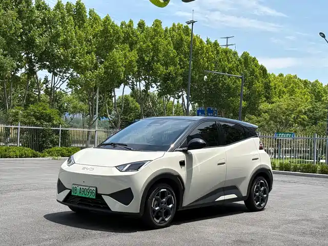 BYD Seagull 2025 Smart Drive Edition 305km Freedom Version