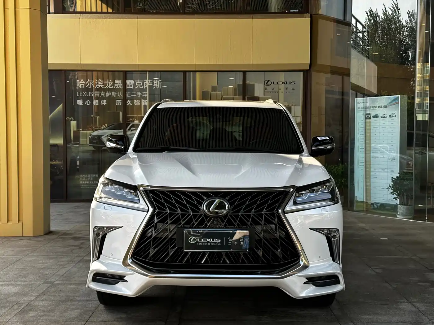 Lexus LX 2019 570 Peak Special Edition фото 2