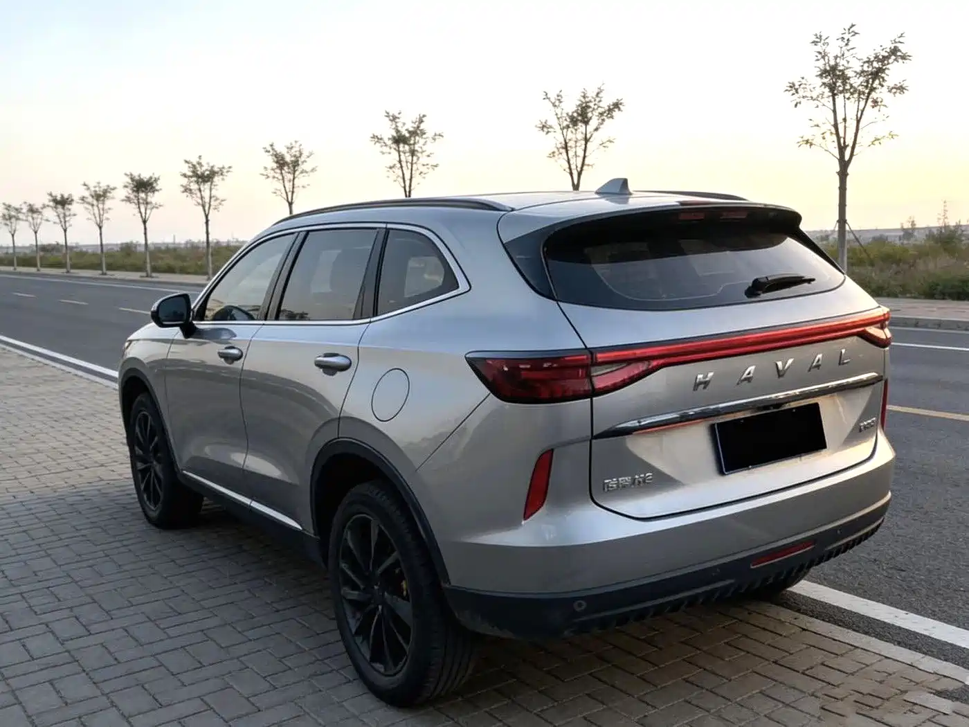 Haval H6 2021 Model 3rd Generation 2.0T Auto AWD Supreme+ фото 8