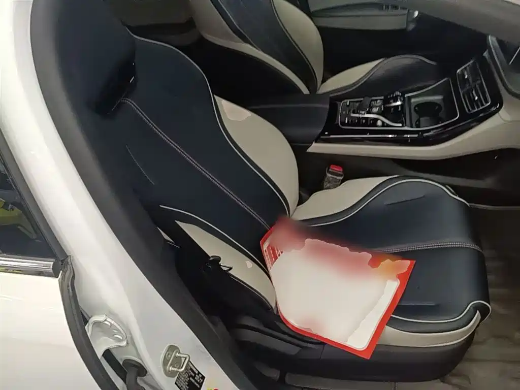 BYD Qin PLUS 2021 DM-i 55KM Flagship фото 25