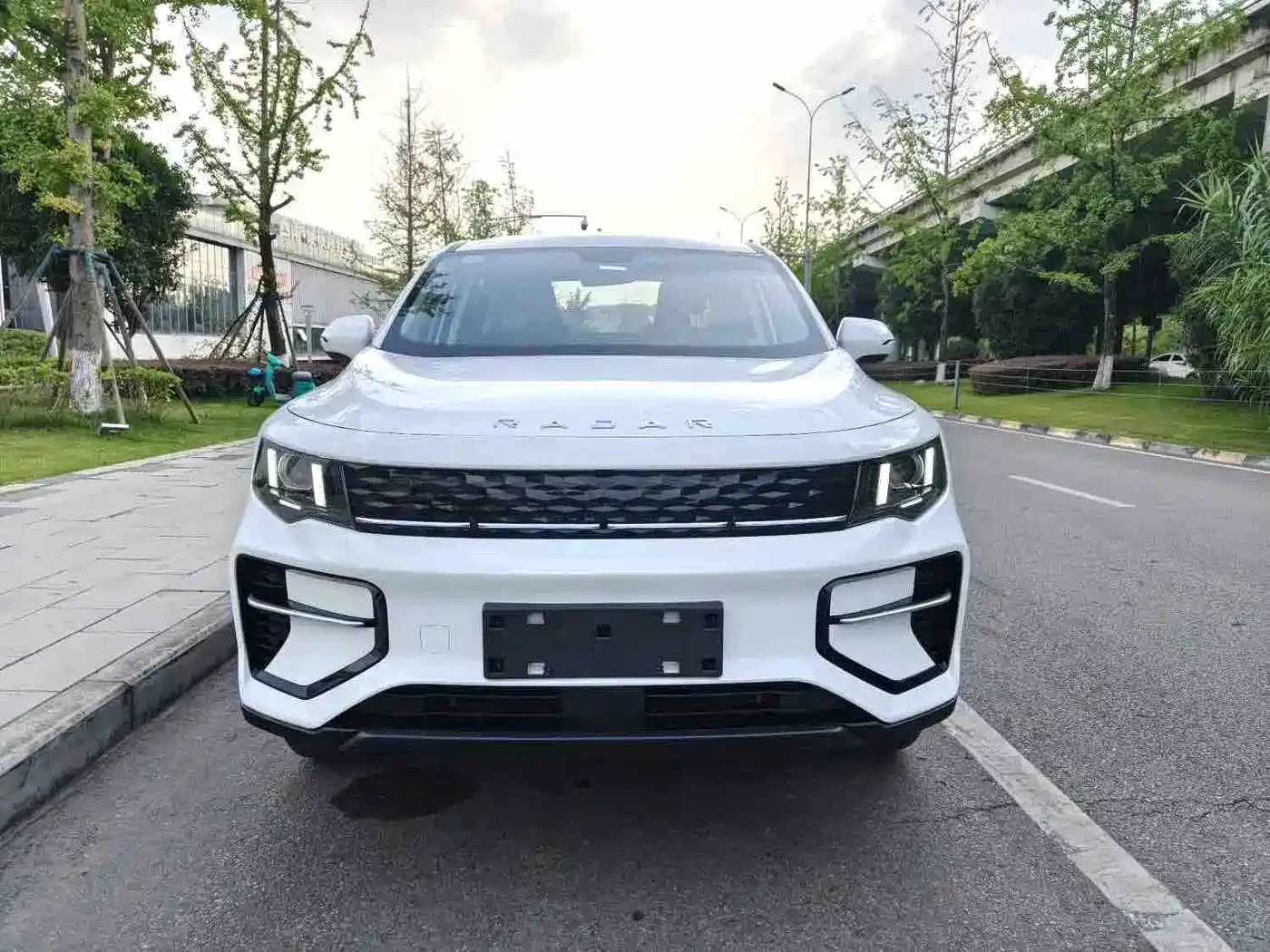 Geely Radar Radar Horizon 2025 2024 415km 2WD Champion Edition
