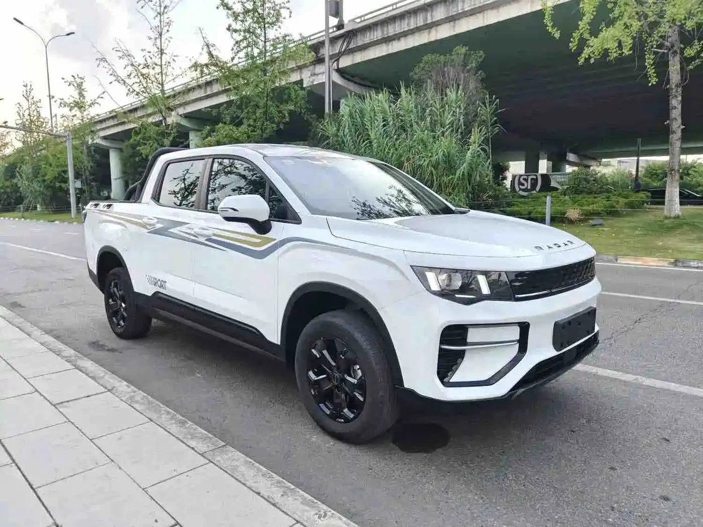 Geely Radar Radar Horizon 2025 2024 415km 2WD Champion Edition