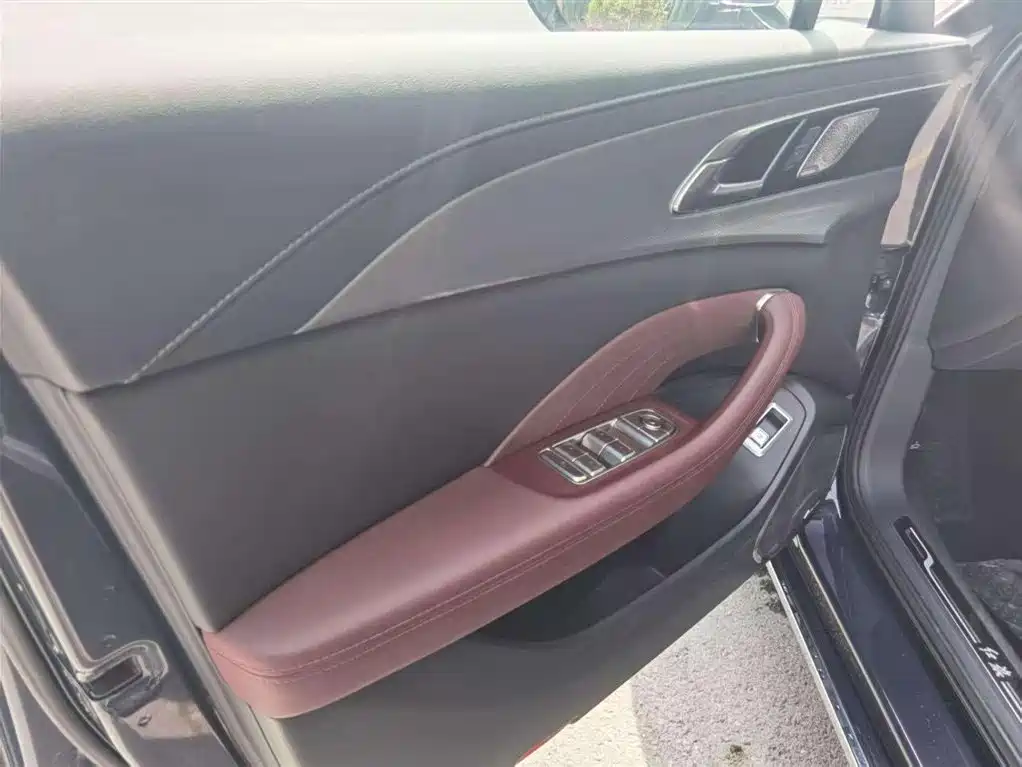 Hongqi H5 2024 2.0T Automatic Smart Connect Flag Leader Edition фото 5