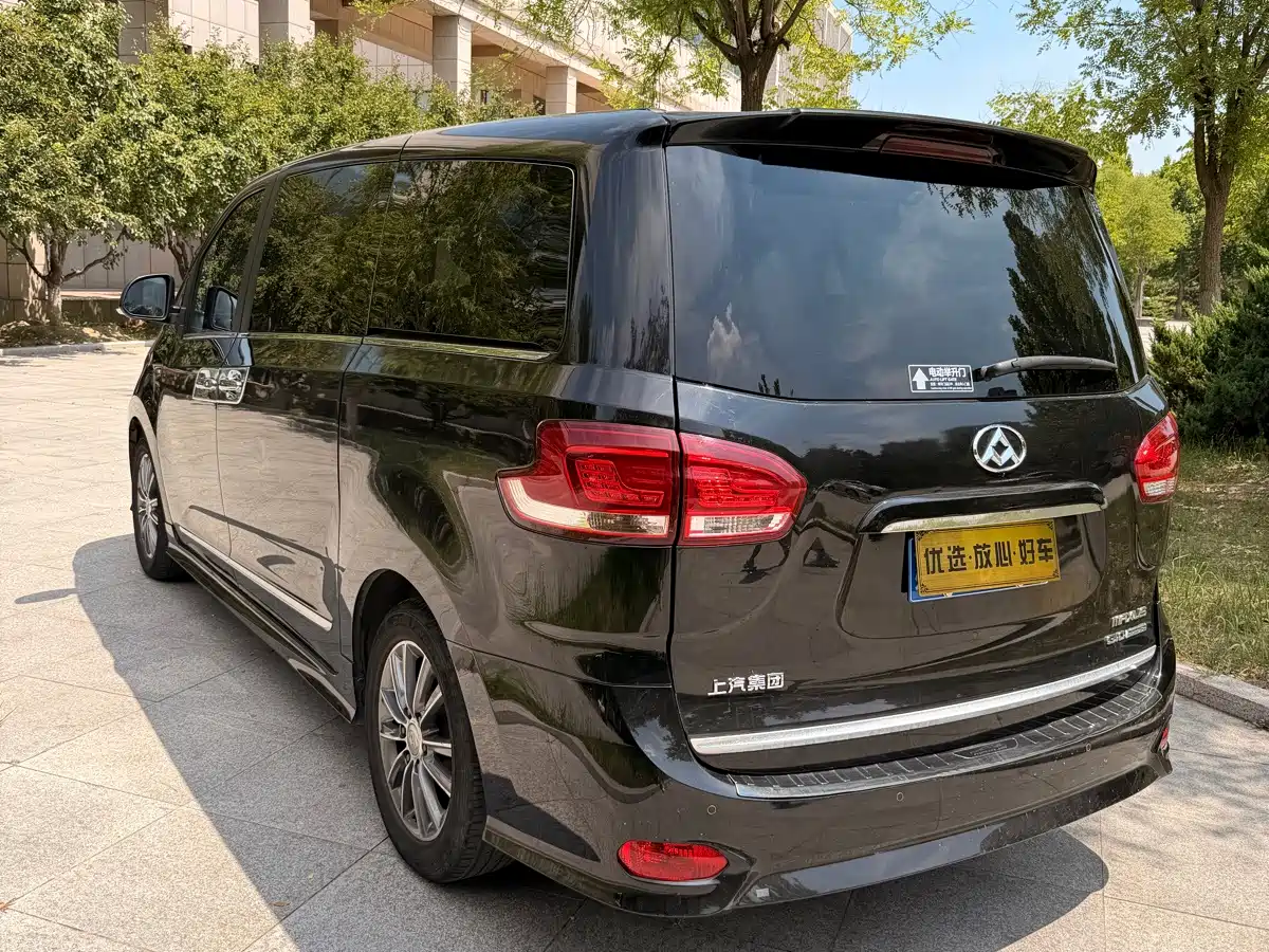 Фото 4 - SAIC Maxus Maxus G10