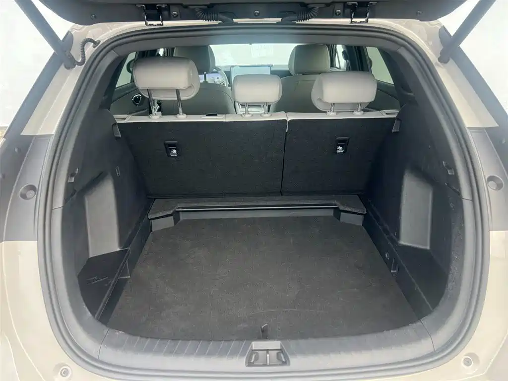BYD Sealion 06 New Energy 2025 EV 605 Pilot Pro Edition фото 18