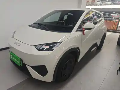 BYD Seagull