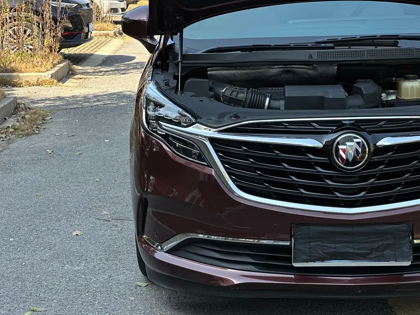 Buick GL8 2022 ES Landmark 653T Premium фото 31