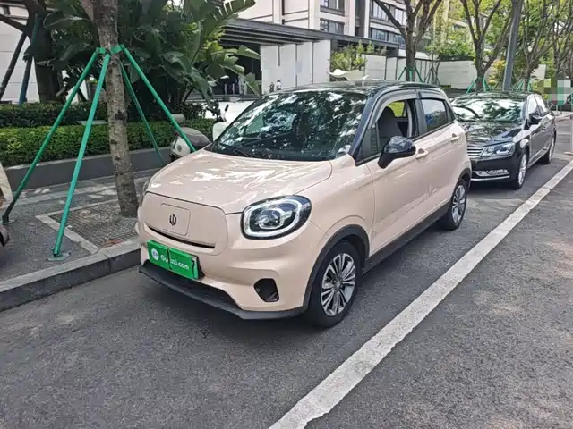 Leapmotor T03 400 Слегка сладкая