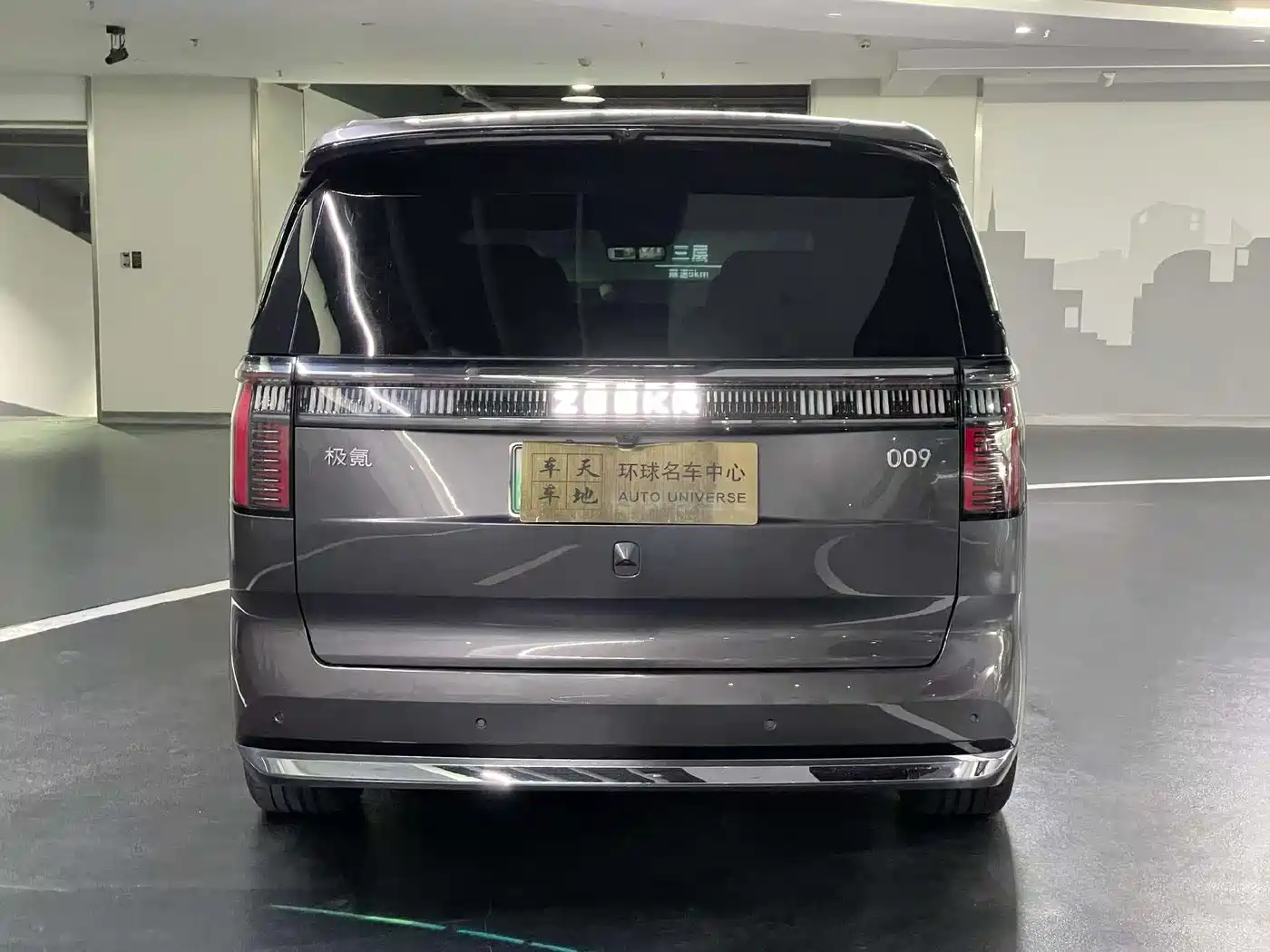 ZEEKR EXTREME KRYPTON 009