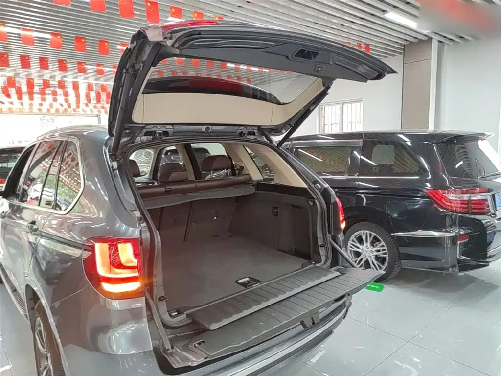 BMW X5 (Import) 2018 xDrive35i Elegant Model фото 19