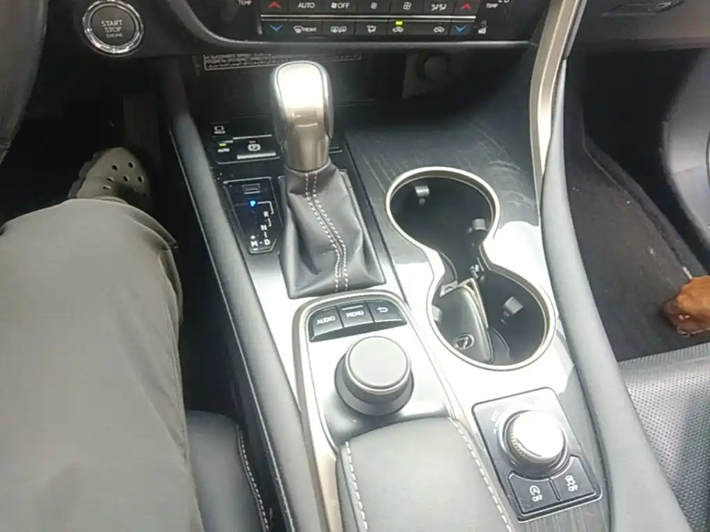 Фото 21 - Lexus RX
