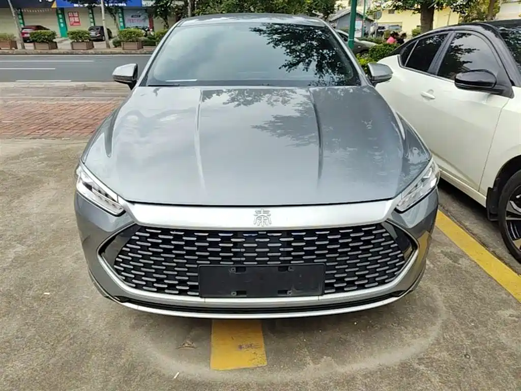 BYD Qin PLUS 2023 Champion Edition DM-i 55KM Leading фото 3