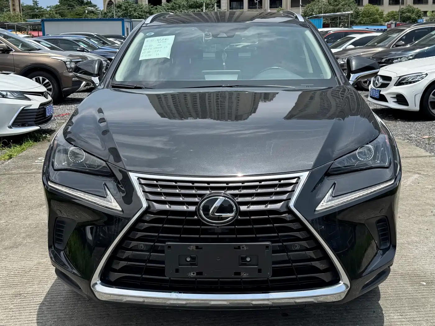 Lexus NX 2020 200 AWD F Sport China VI фото 6