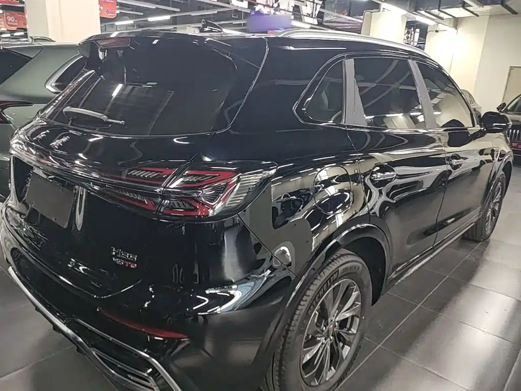 Hongqi HS5 2023 2.0T Flag Enjoy Pro Edition фото 7