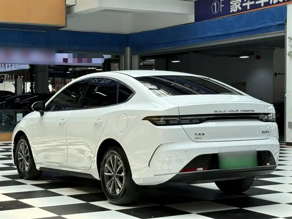 BYD Destroyer 05 2024 Glory Edition DM-i 55KM Luxury фото 21