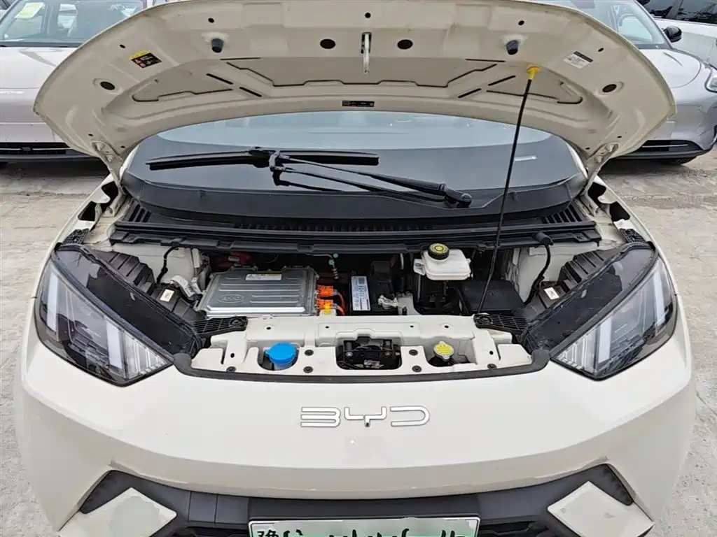 BYD Seagull 2023 Flying Edition фото 20