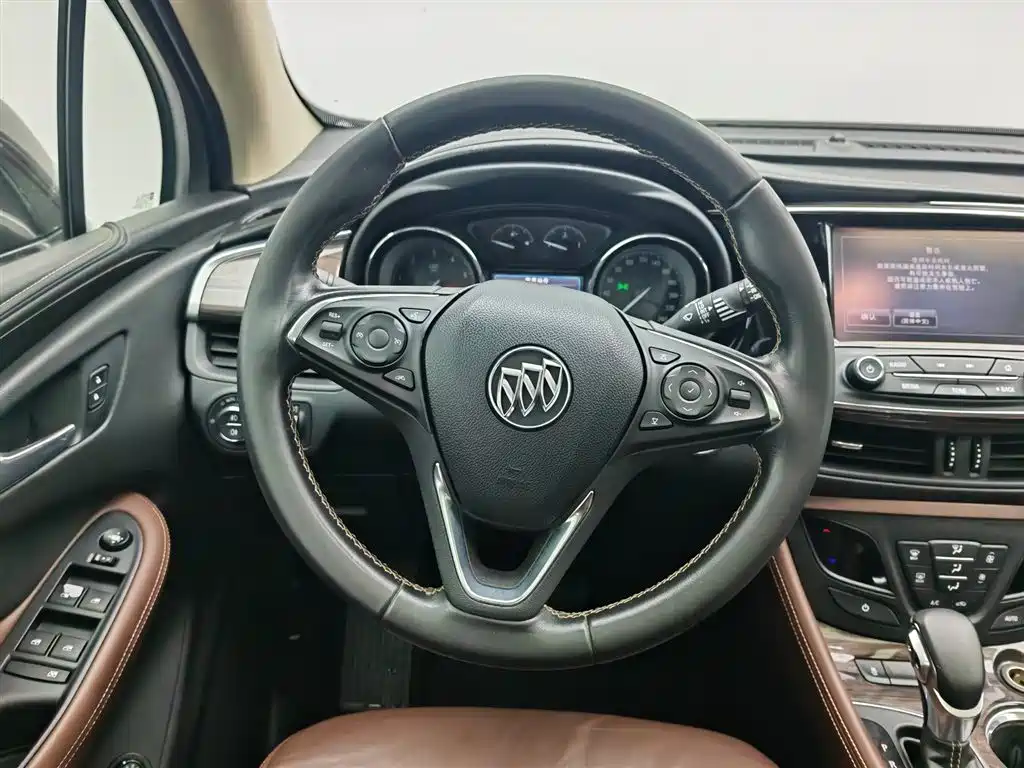 Buick Envision Plus 2016 28T 4WD Elite фото 11
