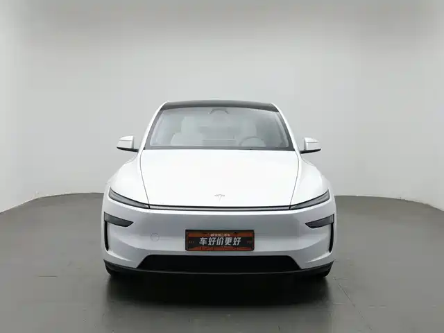 Tesla Model Y 2025 Facelift Long Range All-Wheel Drive — фото 3