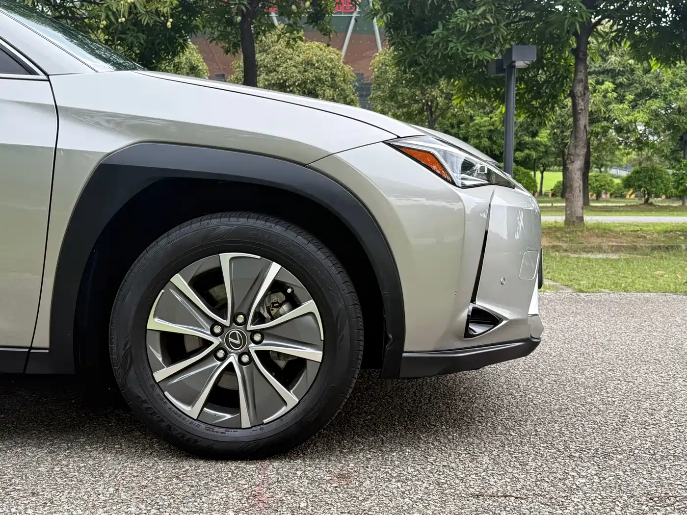 Lexus UX Electric 2020 300e Pure Yue Edition фото 8