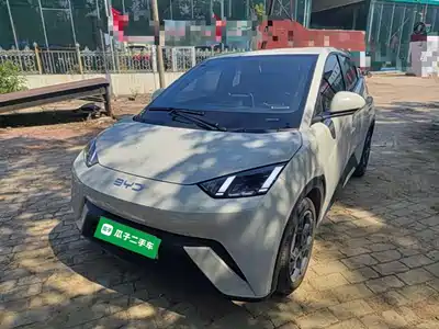 BYD Seagull