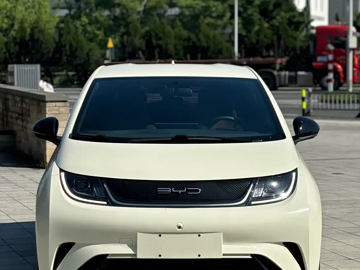 BYD Dolphin 2024 Glory Edition 420km Freedom Edition фото 2
