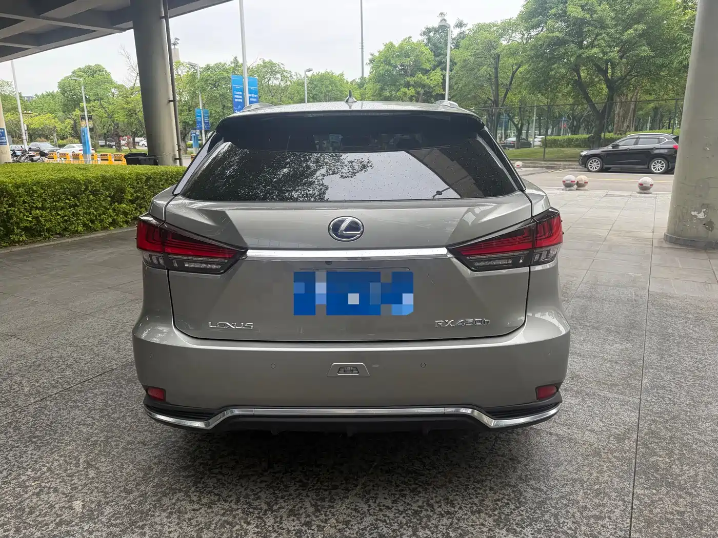 LEXUS RX