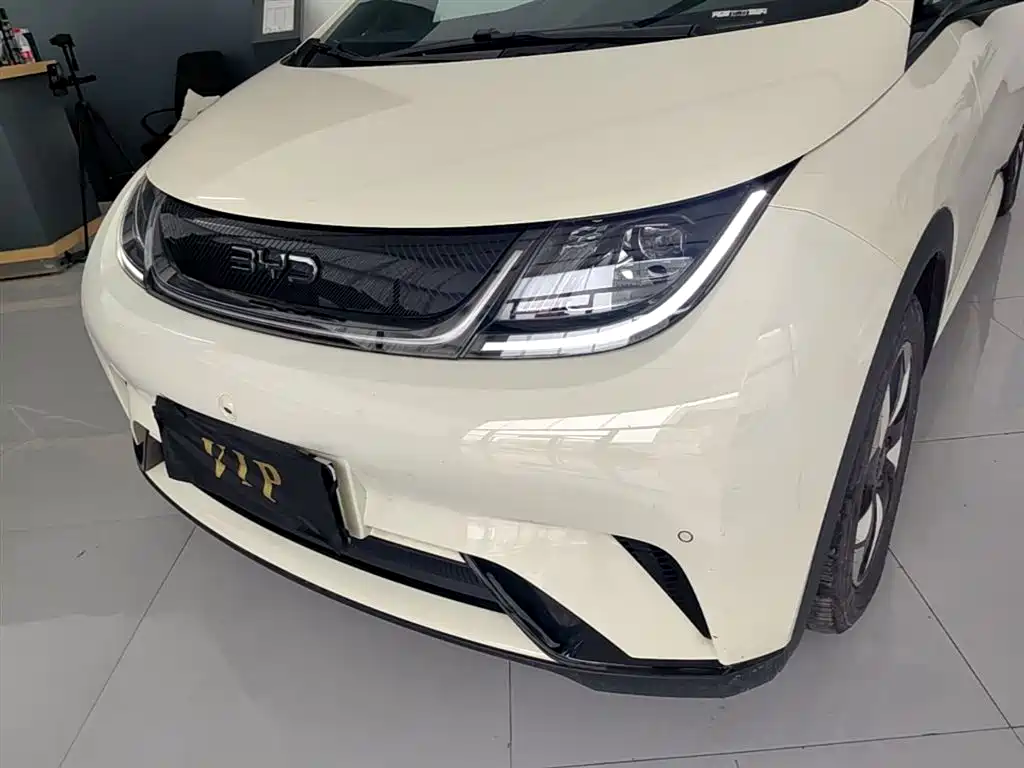BYD Dolphin 2024 Glory Edition 420km Fashion Edition фото 24