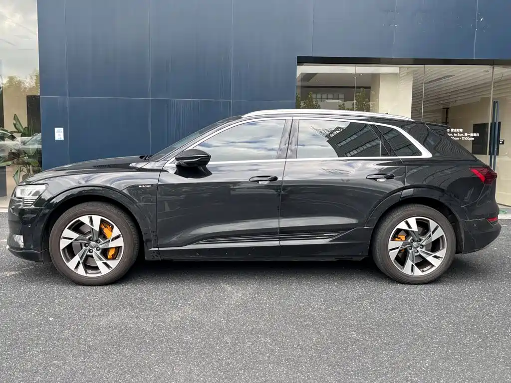 Audi e-tron (Import) 2019 2019 55 quattro Technology