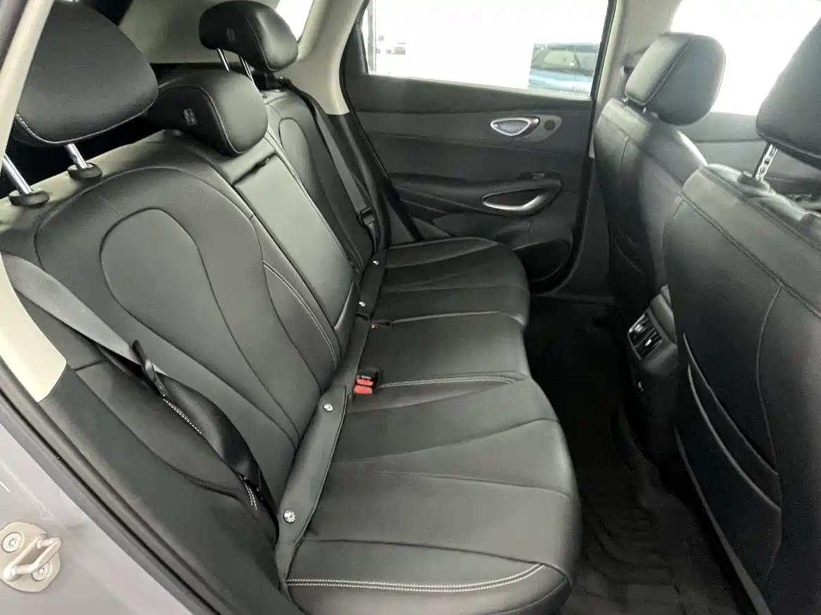BYD Hai Shi 05 EV 2025 520KM Flagship Smart Navigation Edition фото 14