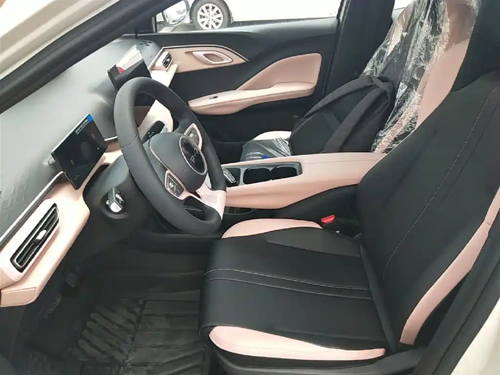 BYD Seagull 2025 Smart Drive Edition 305km Vitality Version фото 15