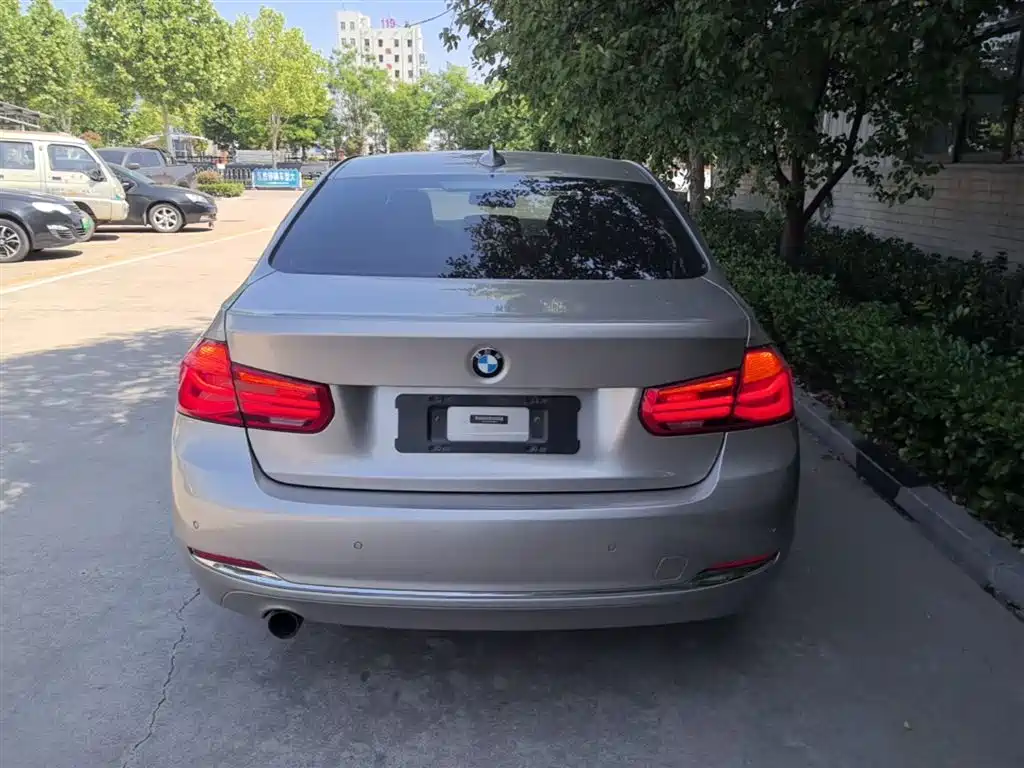 BMW 3 Series 2016 320Li Progressive фото 6