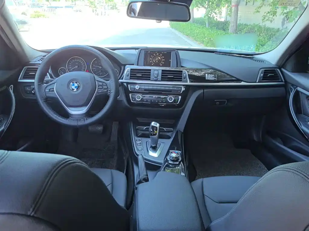 BMW 3 Series 2016 320Li Progressive фото 10
