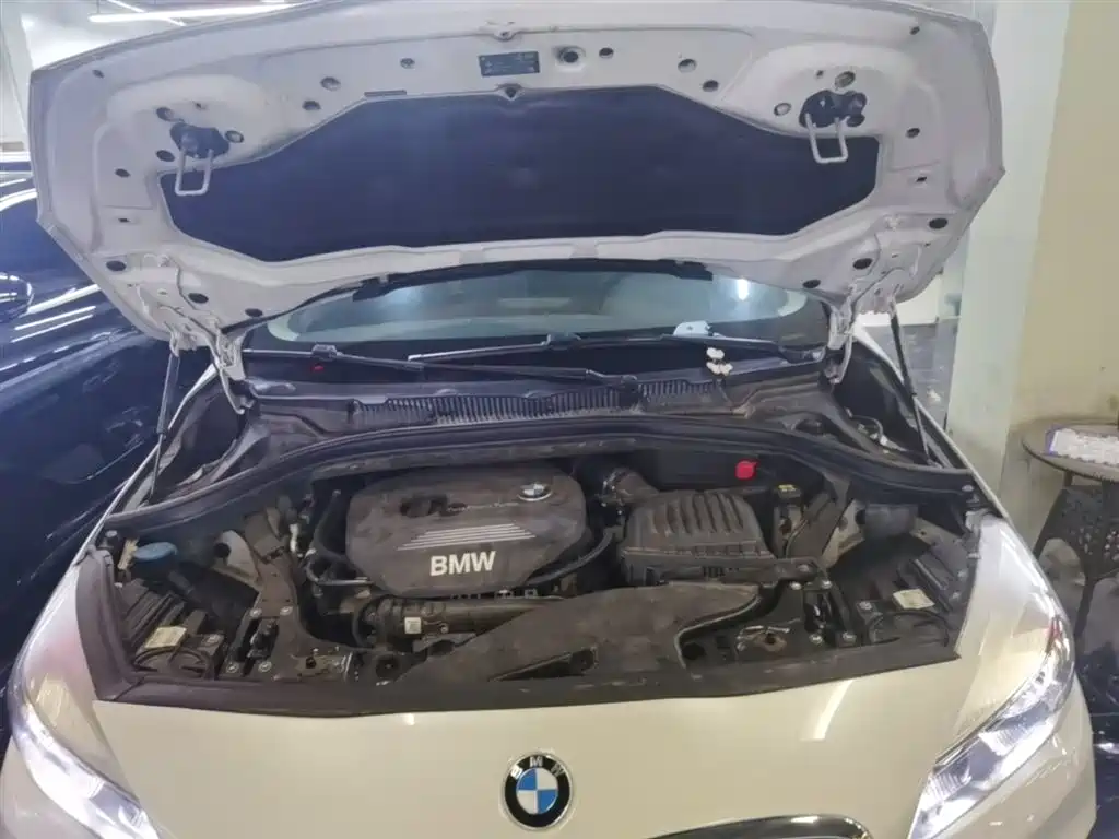 BMW 2 Series Gran Tourer 2015 218i Leading фото 20