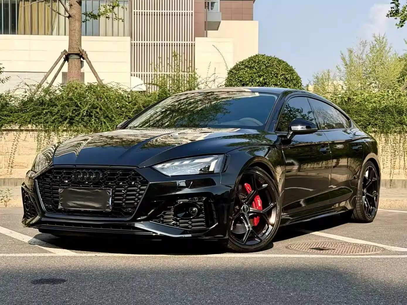 Audi RS 5 2025 2024 RS 5 2.9T Sportback Ignition Edition