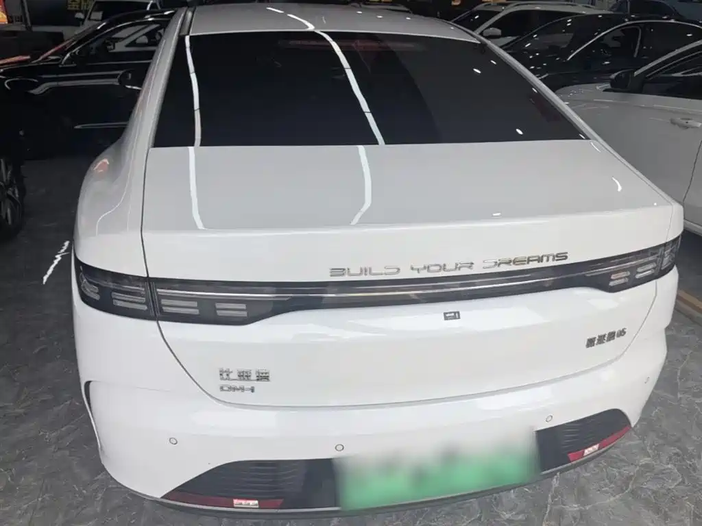 BYD Destroyer 05 2024 Glory Edition DM-i 55KM Luxury фото 6