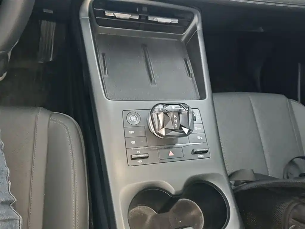 BYD Qin PLUS 2025 DM-i Smart Drive 55KM Leader фото 14