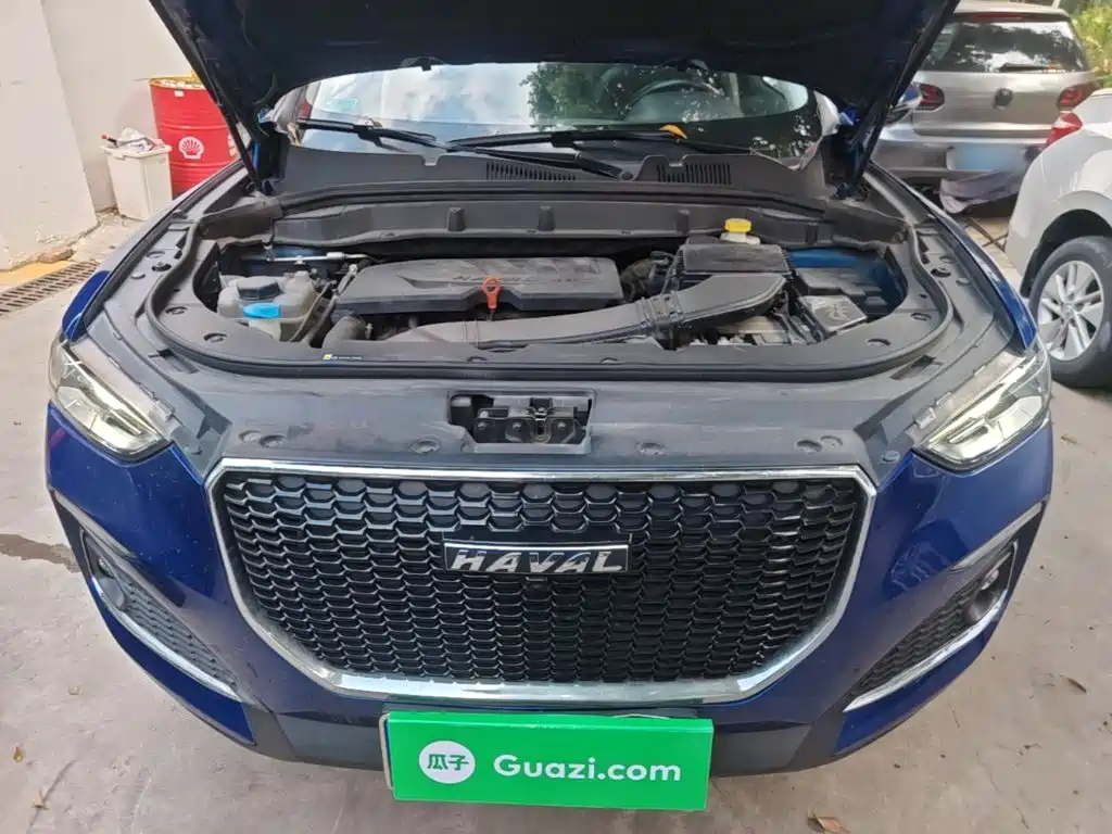 Haval F5 2019 2019 National Trend Edition 1.5T iTrend China VI