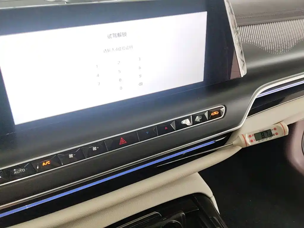 Photo 13 - Hongqi H9