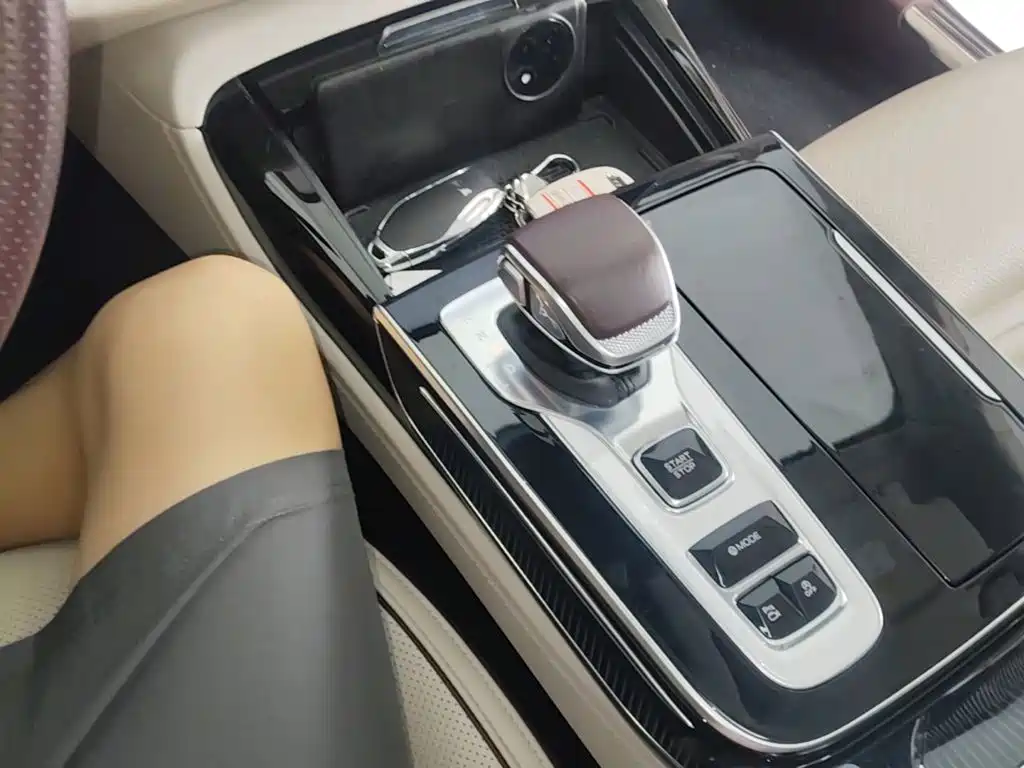 Photo 14 - Hongqi H9