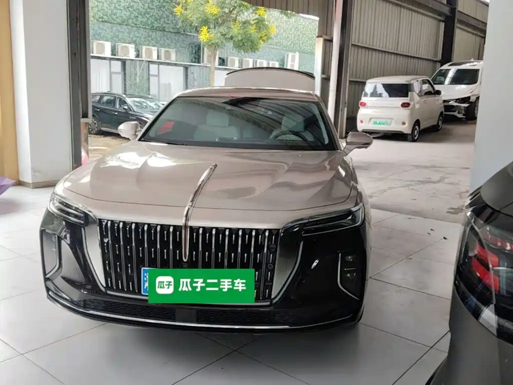 Photo 2 - Hongqi H9
