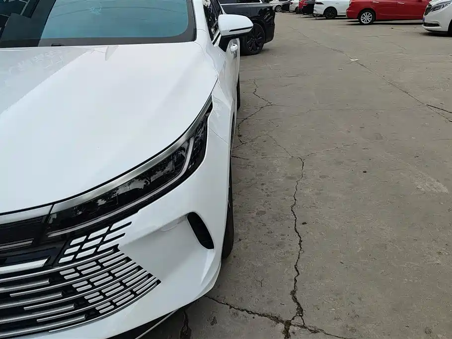 BYD Destroyer 05 2024 Glory Edition DM-i 55KM Luxury фото 5