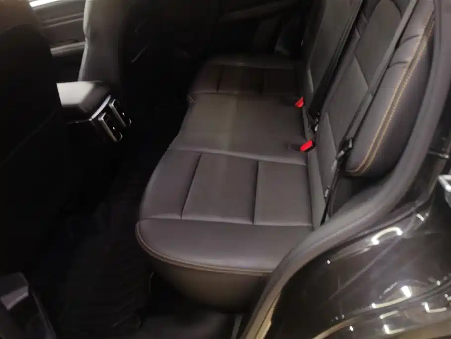 Haval Big Dog 2021 1.5T DCT 2WD Border Collie Edition фото 11