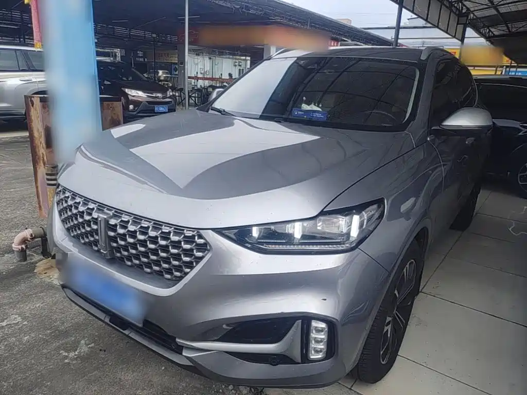 WEY VV6 2021 2.0T 2WD Smart Enjoyment+