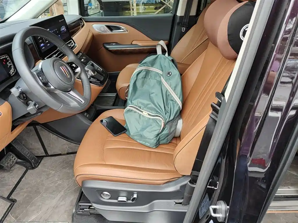 Hongqi HQ9 2023 2.0T Smart Connect Flag Enjoy Edition фото 15