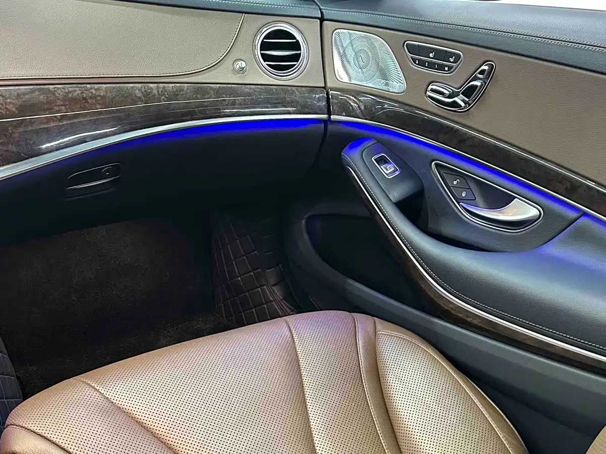Mercedes-Benz S-Class 2020 S 350 L Premium Edition Collector's Version фото 9