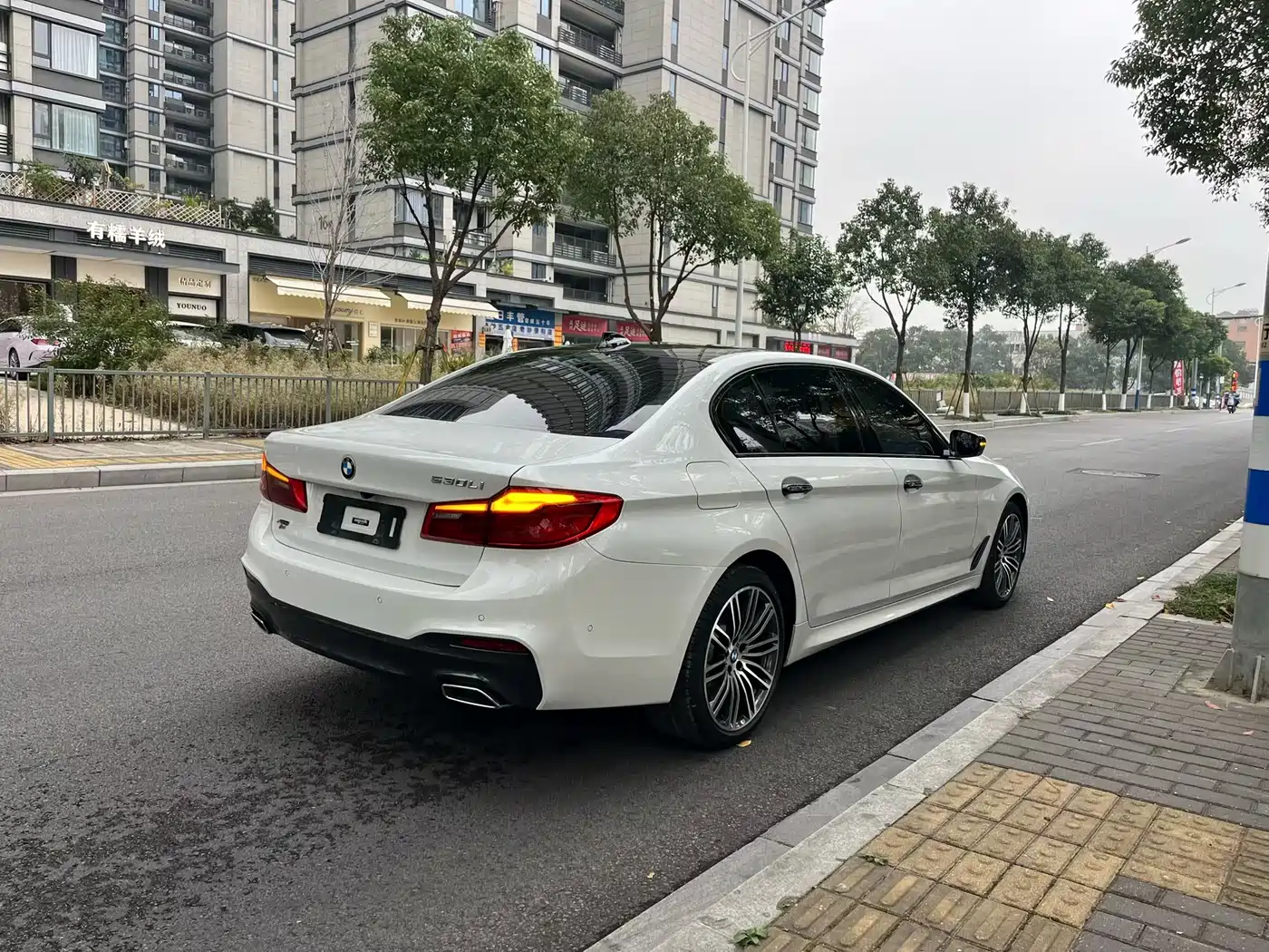 BMW 5 Series 2018 Facelift 530Li xDrive M Sport Package фото 6