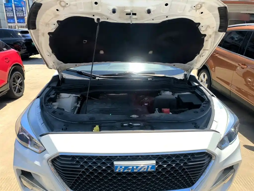 Haval M6 2017 1.5T Automatic 2WD Elite фото 20