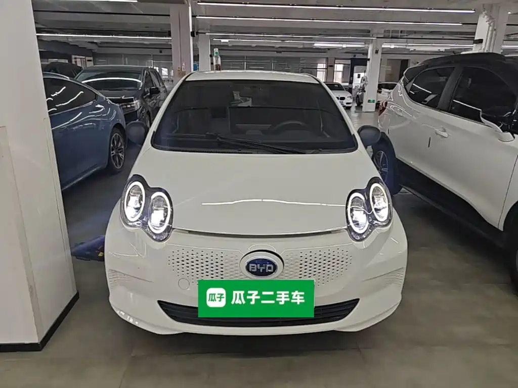 2020 BYD e1