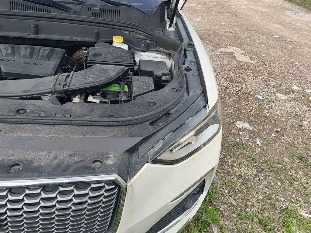 Haval F5 2018 1.5T i-Trend фото 23